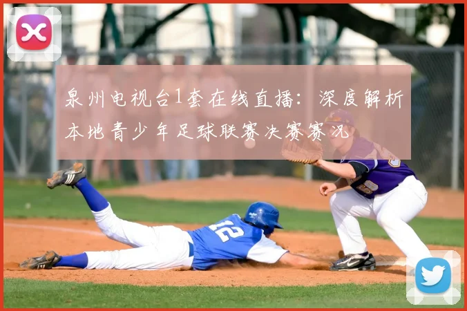 泉州电视台1套在线直播：深度解析本地青少年足球联赛决赛赛况
