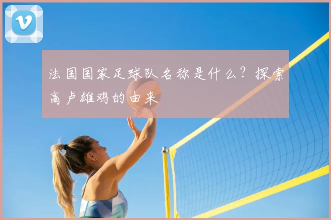 法国国家足球队名称是什么？探索高卢雄鸡的由来