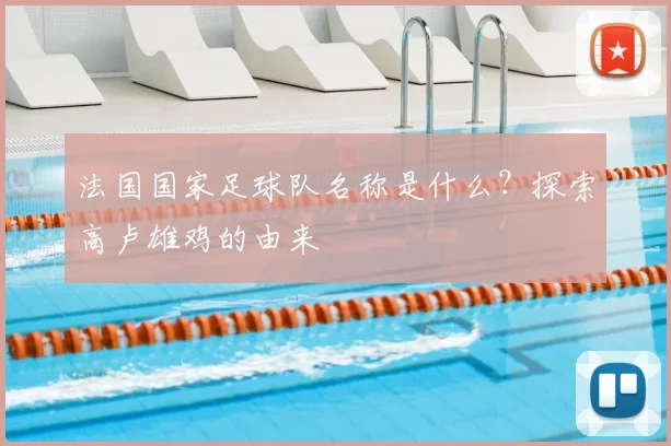 法国国家足球队名称是什么？探索高卢雄鸡的由来