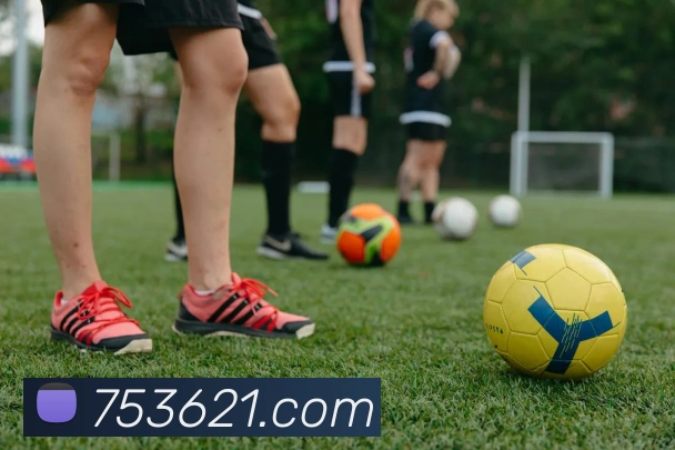 开云在线官方网站APP 封面图